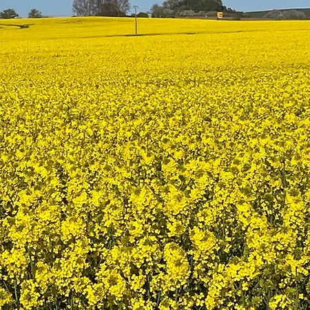 Ferienwohnung Sonnenschein Dranske