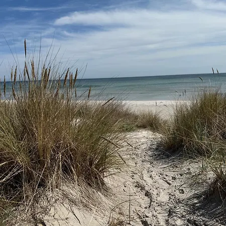 Sonnenschein درانسكي