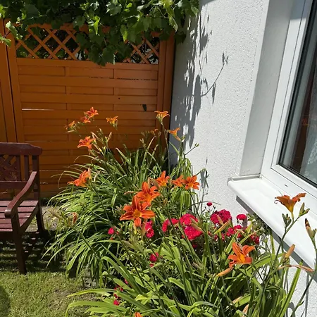 Sonnenschein Dranske
