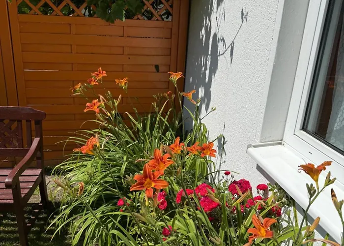 Sonnenschein Dranske